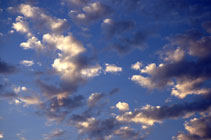 A14