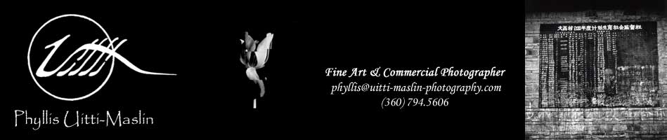 Phyllis Uitti-Maslin ... Fine Art & Commercial Photographer