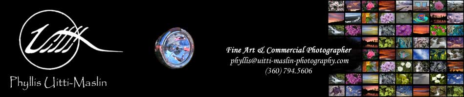 Phyllis Uitti-Maslin ... Fine Art & Commercial Photographer