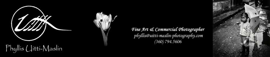 Phyllis Uitti-Maslin ... Fine Art & Commercial Photographer